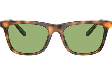 Okulary przeciwsłoneczne Polo Ralph Lauren PH4205U 6089/2 Kwadratowe Havana
