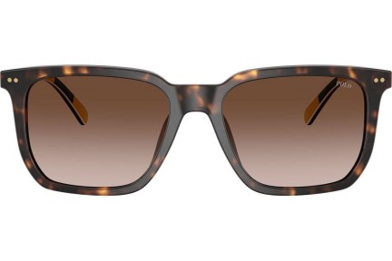 Okulary przeciwsłoneczne Polo Ralph Lauren PH4224U 500313 Kwadratowe Havana