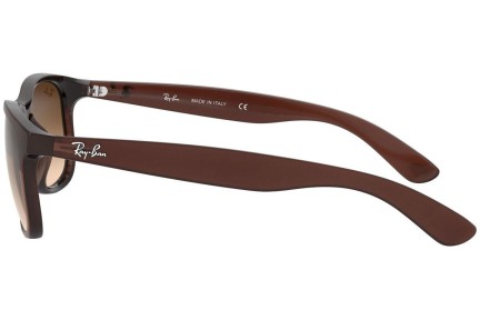 Ochelari de soare Ray-Ban Andy RB4202 607313 Pătrați Maro