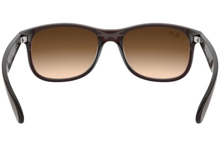 Ochelari de soare Ray-Ban Andy RB4202 607313 Pătrați Maro