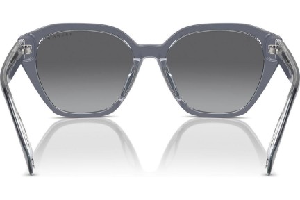 Слънчеви очила Ralph Lauren RA5315U 6187T3 Polarized Око на котка Сива