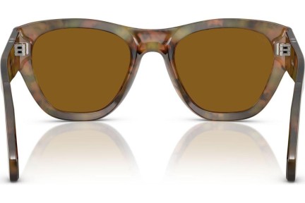 Solbriller Persol PO0054S 108/33 Cat Eye Havana