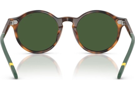 Okulary przeciwsłoneczne Polo Ralph Lauren PH4204U 608971 Okrągłe Havana