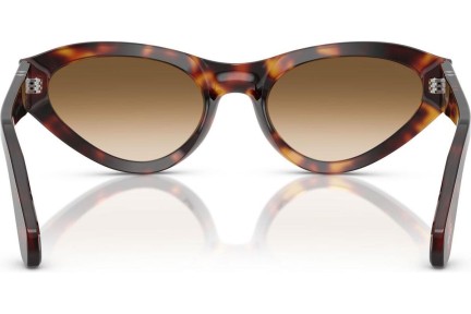 Слънчеви очила Persol PO0052S 24/51 Око на котка Хавана