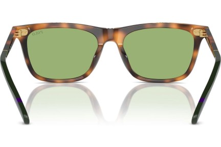 Okulary przeciwsłoneczne Polo Ralph Lauren PH4205U 6089/2 Kwadratowe Havana