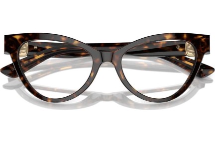 Briller Dolce & Gabbana DG3394 502 Cat Eye Havana