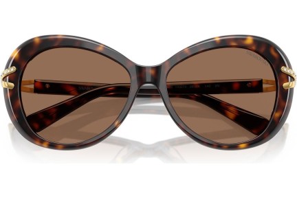 Solbriller Swarovski SK6026 100273 Cat Eye Havana