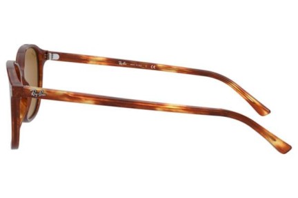Okulary przeciwsłoneczne Ray-Ban Leonard RB2193 954/33 Kwadratowe Havana