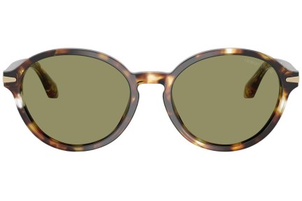 Okulary przeciwsłoneczne Giorgio Armani AR8237 623214 Okrągłe Havana