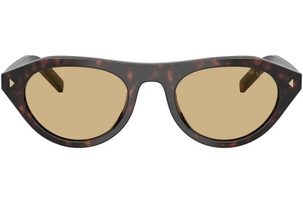 Okulary przeciwsłoneczne Prada PRB15S 17N70R Kocie oczy Havana