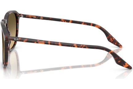 Okulary przeciwsłoneczne Ray-Ban RB2203 14290A Kwadratowe Havana