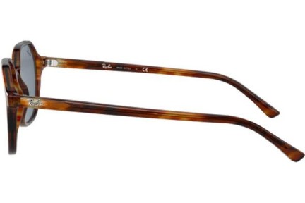 Zonnebril Ray-Ban John RB2194 954/62 Vierkant Havana