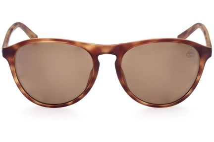 Okulary przeciwsłoneczne Timberland TB9267 52H Polarized Pilotki (Aviator) Havana