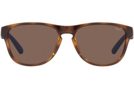 Ochelari de soare Polo Ralph Lauren PH4180U 500373 Pătrați Havana