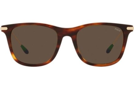 Ochelari de soare Polo Ralph Lauren PH4179U 570373 Pătrați Havana