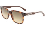 Okulary przeciwsłoneczne Lacoste L967S 230 Kwadratowe Havana
