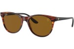 Okulary przeciwsłoneczne Ray-Ban Scuderia Ferrari Collection RB2202M F66733 Okrągłe Havana