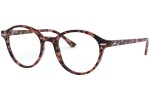 Okulary korekcyjne Ray-Ban Dean RX7118 8064 Okrągłe Havana