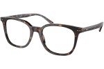 Okulary korekcyjne Polo Ralph Lauren PH2256 5003 Kwadratowe Havana