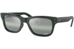 Okulary przeciwsłoneczne Ray-Ban Mr Burbank RB2283 6659G4 Polarized Kwadratowe Zielone