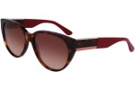 Okulary przeciwsłoneczne Lacoste L985S 240 Okrągłe Havana