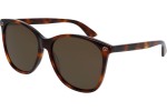 Okulary przeciwsłoneczne Gucci GG0024S 002 Kocie oczy Havana
