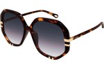 Okulary przeciwsłoneczne Chloe CH0105S 004 Kwadratowe Havana