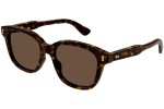 Okulary przeciwsłoneczne Gucci GG1264S 005 Okrągłe Havana