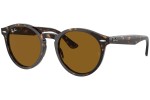 Sunglasses Ray-Ban Larry RB7680S 902/33 Okrągłe Havana
