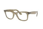 Ray-Ban Wayfarer Change Collection RB2140 1387GG