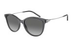 Emporio Armani EA4220 610611