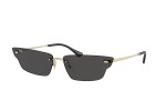 Ochelari de soare Ray-Ban RB3731 921387 Specială Aurii