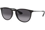 Ochelari de soare Ray-Ban Erika Classic RB4171 622/8G Rotunzi Negri