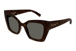 Solbriller Saint Laurent SL552 008 Cat Eye Havana