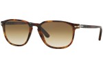 Solbriller Persol Galleria '900 Collection PO3019S 108/51 Firkantet Havana