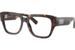 Dolce & Gabbana DG3405 502