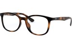 Ray-Ban RX7093D 2012