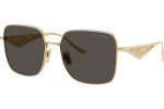 Dolce & Gabbana DG2310 02/87