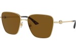 Jimmy Choo JC4005HB 300683 Polarized