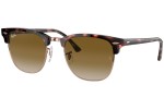 Okulary przeciwsłoneczne Ray-Ban Clubmaster RB3016 133751 Browline Havana