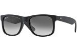 Ray-Ban Justin Classic RB4165 601/8G