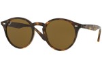 Ray-Ban Havana Collection RB2180 710/73