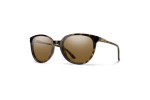 Smith CHEETAH 086/L5 Polarized