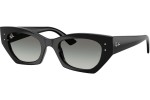 Ray-Ban RB4430 667711