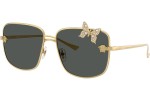 Versace VE2282 100287