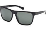 Timberland TB00054-H 01R Polarized