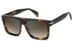David Beckham DB7134/S WR9/QY