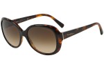 Okulary przeciwsłoneczne Giorgio Armani AR8047 504913 Oversize Havana