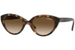 Solbriller Vogue VJ2002 W65613 Cat Eye Havana